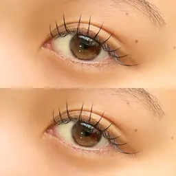 パリジェンヌラッシュリフト(束感コーティング付)