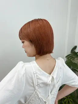 ショートカットモデル