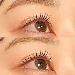 【ラッシュリフト】トリートメント3回付き✨　持ち◎