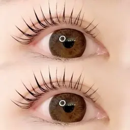 【1月限定🌟】パリジェンヌ♪   根元から80℃しっかり立ち上げます🙆🏻‍♀️💞