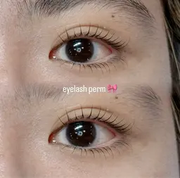 【2月限定】☆🫐上下まつ毛パーマ🫐☆(女性限定)