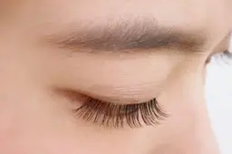 フラットラッシュ120本 自他店オフ込み リペアも可能 コーティング付き