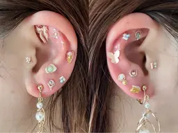 耳つぼジュエリー 付け放題(MAX20個)耳つぼシール2025年度版在庫限り