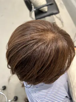 🟢白髪ぼかし🟢メテオカラー