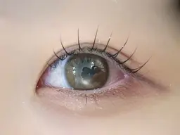 🎀ミニモ限定リピーター様🎀マツパ＋コーティング仕上げ✨