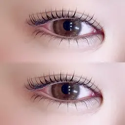 【minimo特別価格🐄♡】 上下まつげパーマ✦.*·̩͙ 美容液仕上げ付