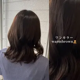 【新規様】ワンカラー🥣🐾《minimo限定価格‼️》