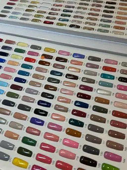 【学割U24】マグネットorフラッシュ（オフなし）