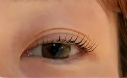 【1月25日限定】パリジェンヌラッシュリフト