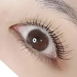 新メニュー導入記念《上下まつ毛カール》期間限定¥10,000→¥8,000