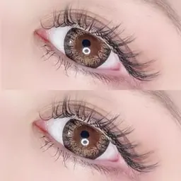 30日限定🎀LED90分のせ放題¥4000✨️オフ込み･付け足し🙆‍♀️