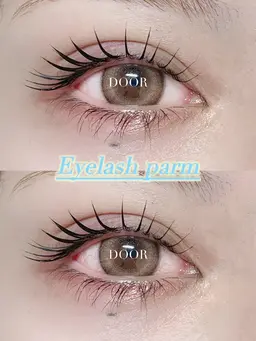 お持ち帰り用コーティング付き💎✨️パリジェンヌorまつ毛パーマ【 仕上げコーティング＋アイシャンプー 付き】