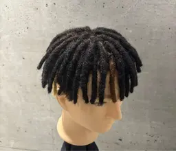 🪮【月2人限定】ドレッド ドレッドロックス🪮