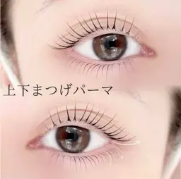 💜【平日～17時】ラッシュリフト上　🌸高濃度美容液付き 、17時以後or土日祝+300円  、施術時間は45分前後