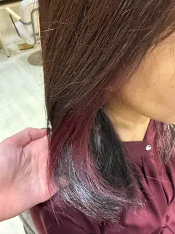 12月限定🎄インナーダブルカラー  ¥4500