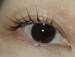 ケラチンラッシュリフト