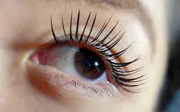 ダブルフラット100束