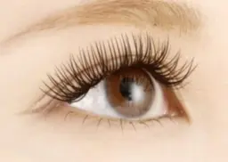 ぱっちりくるっと【まつげパーマ】