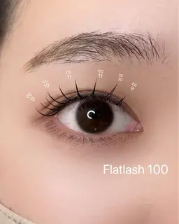 フラットラッシュ100本(オフ込み)アイシャンプー、コーティング付き