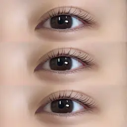 【新規／当日限定🤍】ラッシュリフト（上のみ）