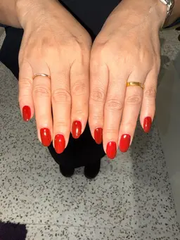 🌟モデル様募集🌟ワンカラー オフ込み💓90分