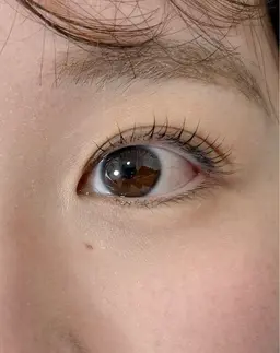 まつげパーマ/ラッシュリフト🌺※アイシャンプー付き