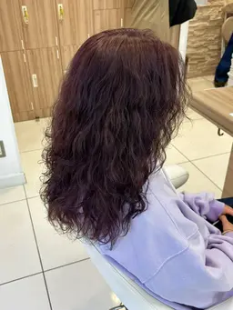 【本日限定㊙️】カット+カラー+トリートメント🩵
