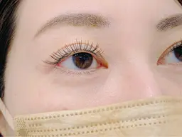 フラットラッシュ120本