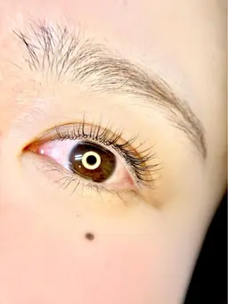 🌸フラットラッシュ80本 コーティング付き