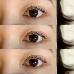 【新規様のみ】パリジェンヌラッシュリフト/デザインカール