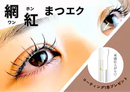 ⭐️オススメ⭐️ワンホンマツエク(フラット100​〜​120本)🎁ご自宅ケア✨コーティング剤付き🎁8500円🩷