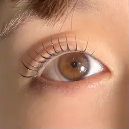 まつげパーマモデル🤍