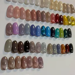 -26年2月まで- ワンカラー(オフ込み)