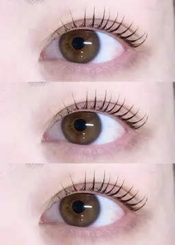 メーテルロッドまつげパーマ🫧𓇼𓏲*ੈ✩‧₊ ¥5500→¥3900【ミニモ特別価格】