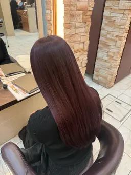 カット+ワンカラー+SONKトリートメント付き✨