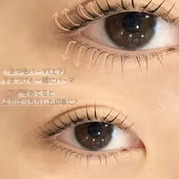 【限定クーポン】上下まつ毛パーマ