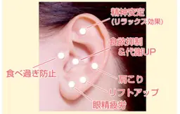 【期間限定】耳つぼ&耳つぼパワージュエリー（2ヶ所）👂イヤーエステのオプションとしても大人気◎