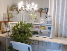 【美白※ケア】　ハーバル　ホワイトニングコース90分　¥3500→¥3300