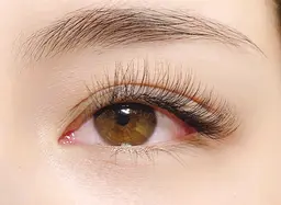 🦋ボリュームラッシュ　120束🦋