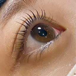 新規限定🎀ラッシュリフトまつげパーマ🎀アイシャンプー&ケアトリートメント付き🫧美容液コーティング込🫧