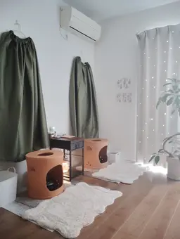 黄土よもぎ蒸し 🌿スタンダード薬草🌿 40分