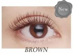 ★ブラウンラッシュ100本