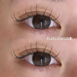 フラットラッシュ120本