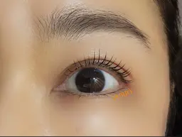 ラッシュリフト