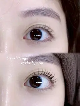 【 本日限定 】まつ毛パーマ🎀♩アイシャンプー・トリートメント付き🫧コーティング剤で束感お仕上げ✨