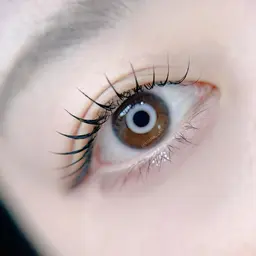 🩶まつげパーマ(上) ¥5000