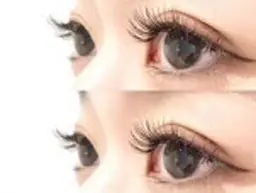 フラットラッシュ100本/ 太さ0.15mm、0.2mm / カール J、C、SC / 長さ8~14mm