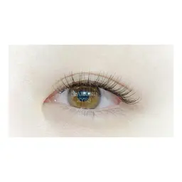 🌟12/26限定🌟LEDエクステ120本【オフ込】シングルorWラッシュからお好みで選べます🙆🏻‍♀️