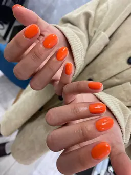 🎀ワンカラーorグラデーション【オフあり・なし◎】