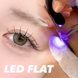 【🎄平日限定🎁】LEDフラット100本¥4500🩰‎🤍※オフ無しの方はこちらを選択